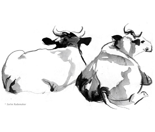 A sketch of two cows