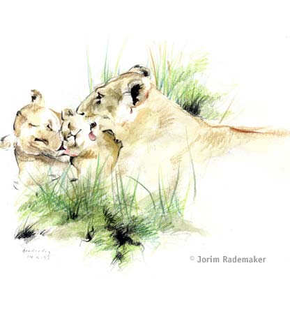 Classic drawing of a family of lions, aquarel and pencil